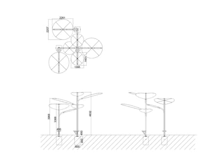 Structural Botany